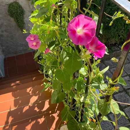 - With Private Garden And Garage Tatil Evi Bellano